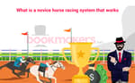 What is a Novice Horse Race Featured Image