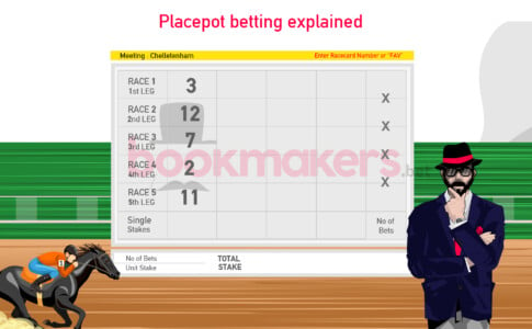 What is a Placepot Bet in Horse Racing