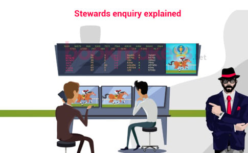 Stewards Enquiry Meaning in Horse Racing